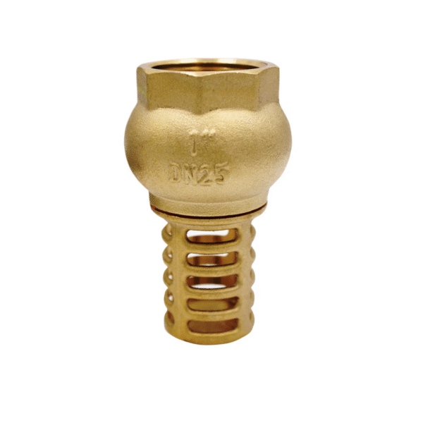 Válvula check de canastilla – bronce